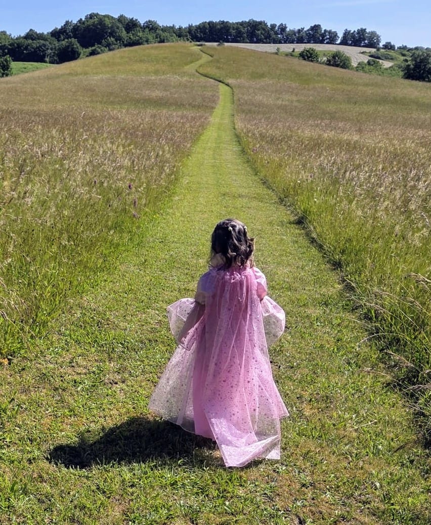 Robe princesse Aurore