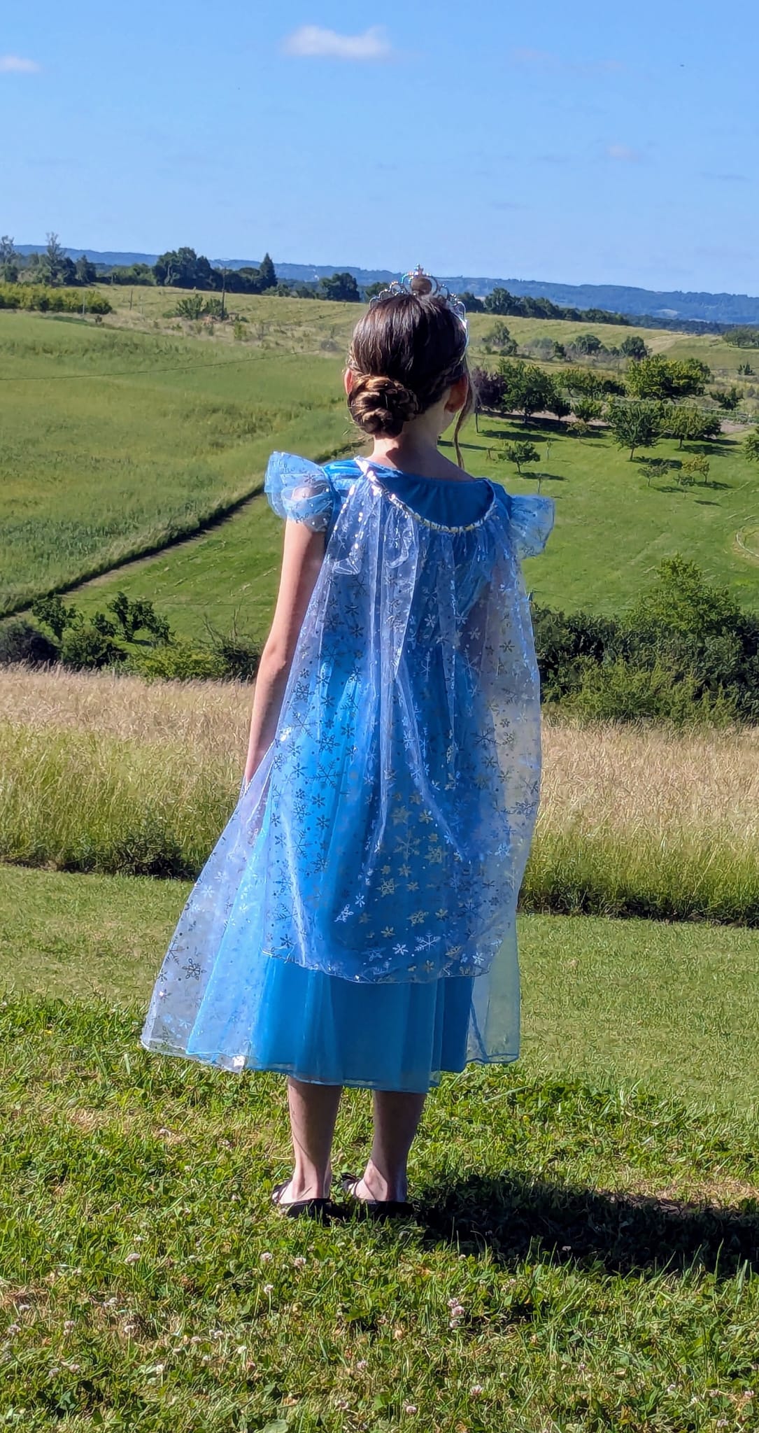 Robe Princesse Bleue avec Cape Détachable
